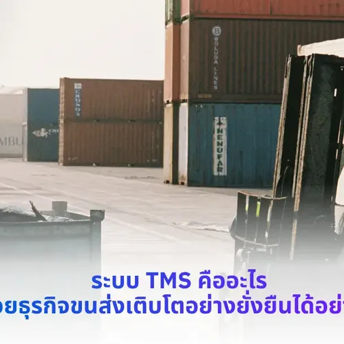 ระบบ TMS คือ