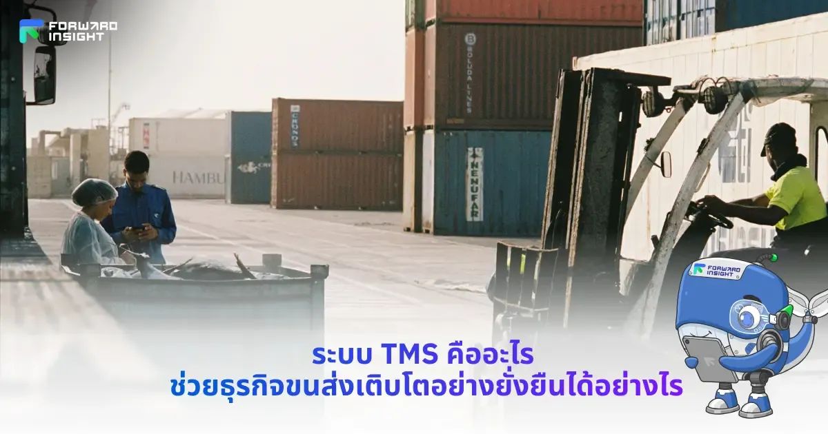 ระบบ TMS คือ